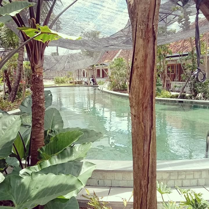 Kolam Renang